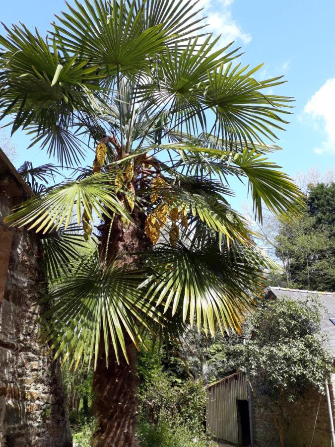 Le Vieux Moulin Bed & Breakfast Goudelin Bagian luar foto