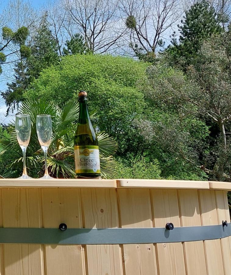Le Vieux Moulin Bed & Breakfast Goudelin Bagian luar foto