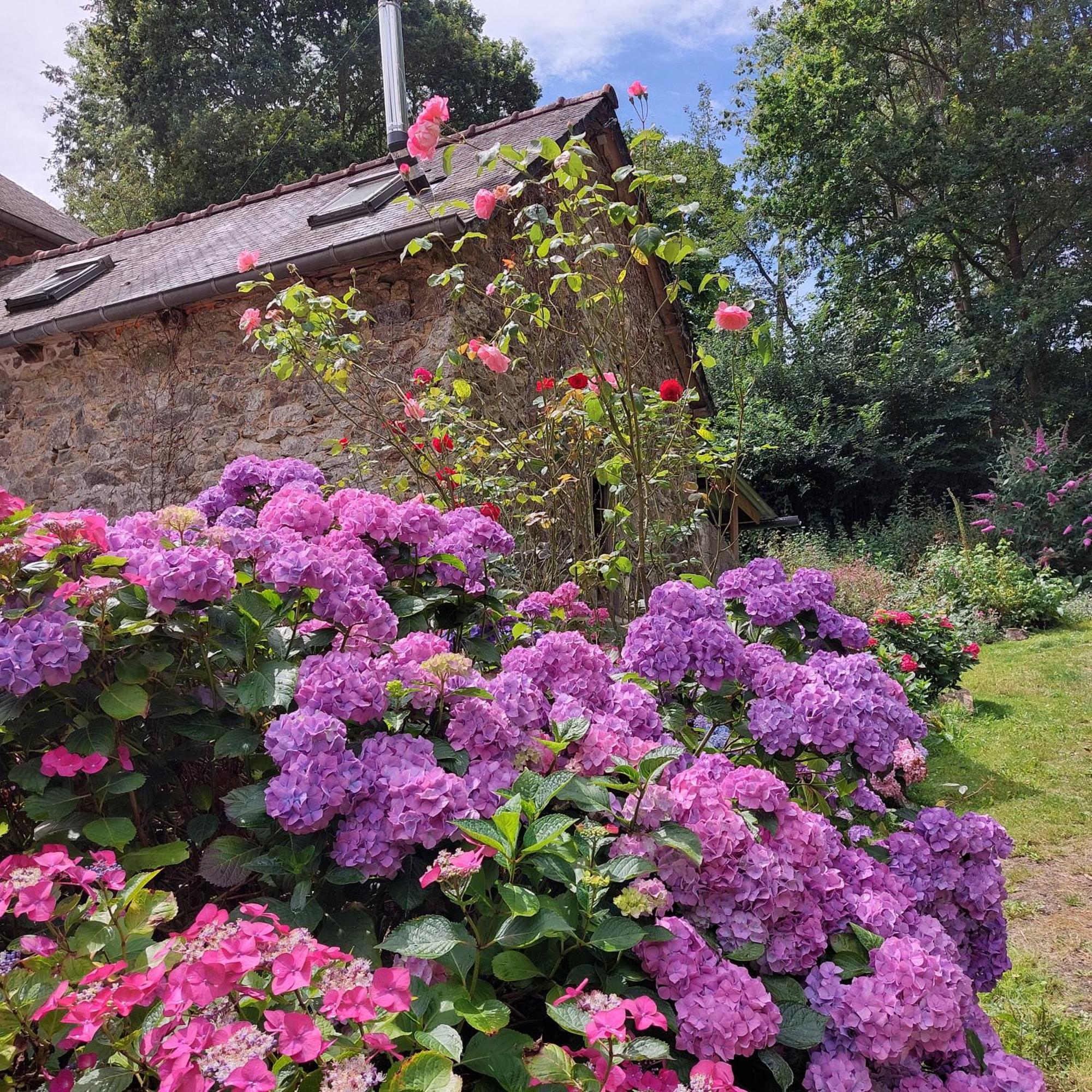Le Vieux Moulin Bed & Breakfast Goudelin Ruang foto